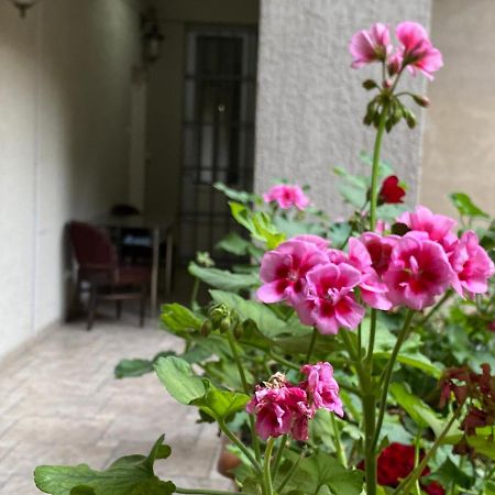 טביליסי Hotel Blissdom מראה חיצוני תמונה
